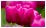 IMG_1637