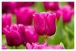 IMG_1639