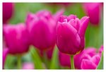 IMG_1645