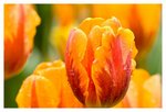 IMG_1684