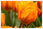 IMG_1705