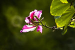 IMG_3478