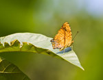 IMG_1485