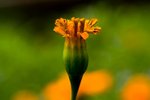 IMG_8400