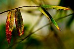 IMG_8405