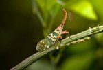 IMG_8632
