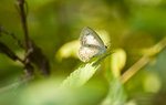 IMG_9059