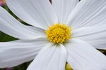 IMG_9367