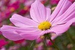 IMG_9381