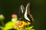 IMG_0323