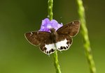 IMG_0841