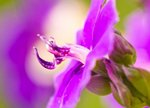 IMG_1045