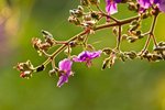 IMG_1050
