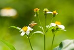 IMG_1051