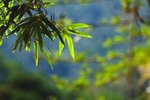 IMG_1053