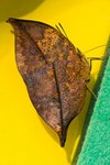 IMG_3489