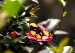 IMG_3745