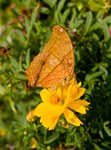 IMG_3769
