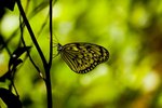 IMG_3791