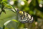 IMG_3801
