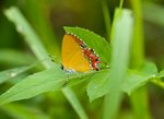 IMG_2870