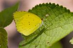 IMG_2884
