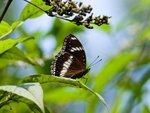 IMG_3086