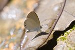 IMG_3182_1