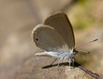 IMG_3188