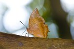IMG_3190