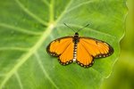 IMG_3367