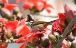 IMG_7968