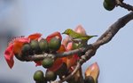 IMG_8065