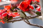 IMG_8076