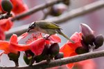 IMG_8144