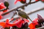 IMG_8150