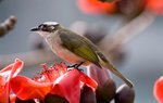 IMG_8161