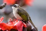 IMG_8166