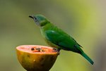 IMG_8279