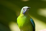 IMG_8362