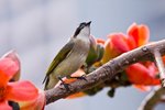 IMG_8566
