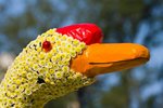 IMG_7207