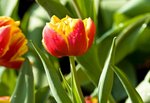 IMG_7215