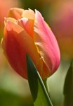 IMG_7281