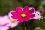 IMG_7341