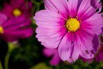 IMG_7471