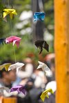 IMG_7482