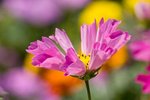 IMG_7573