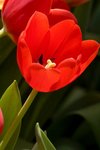 IMG_7616