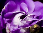 IMG_7629